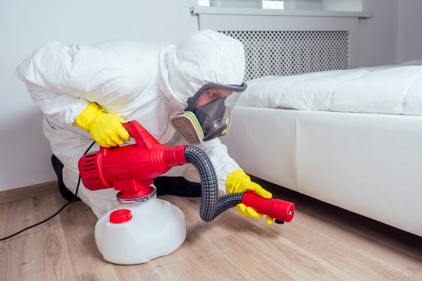 Best Best Pest Control Near Me  in Owings, MD