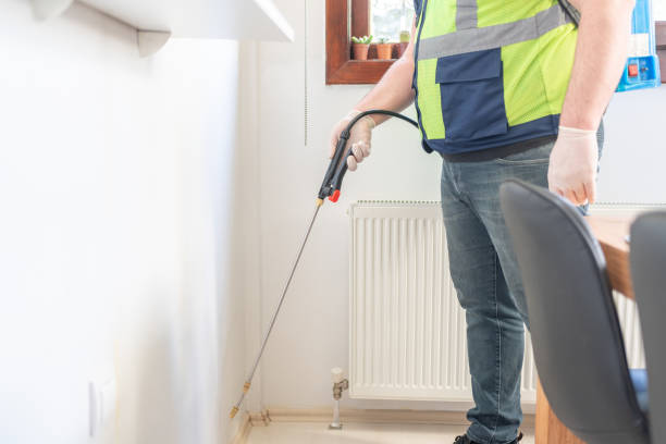 Best Termite Control Services  in Owings, MD