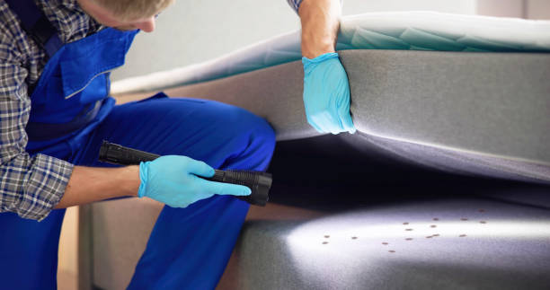 Best Residential Pest Control  in Owings, MD