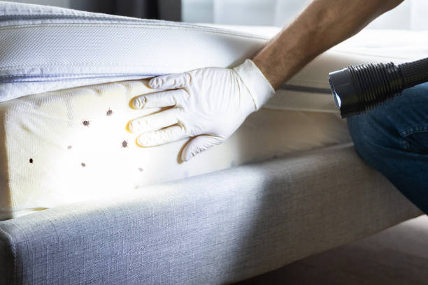 Pest Control for Restaurants in Owings, MD