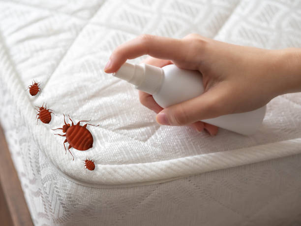 Best Pest Inspection Near Me  in Owings, MD